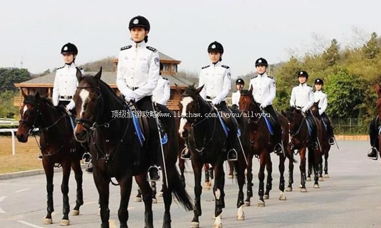 3A大连女子骑警基地旅游攻略