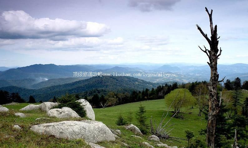 辽宁桓仁老秃顶子国家级自然保护区旅游攻略