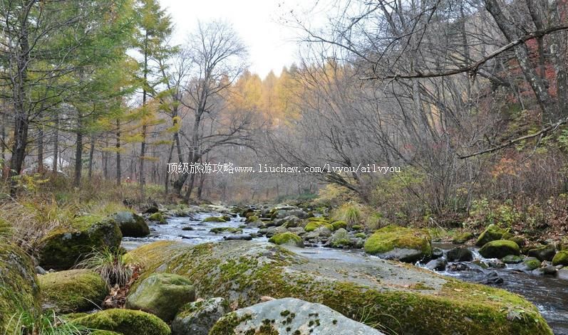 辽宁大地森林公园旅游攻略
