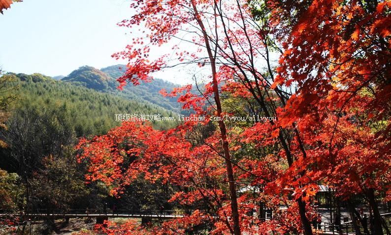 ��Ϫ�ϱ߹��羰�����ι���