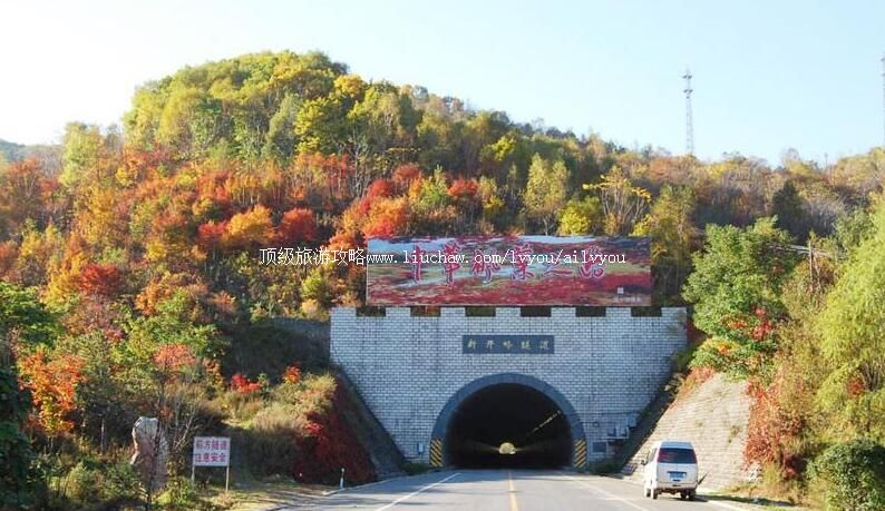 4A��Ϫ�л���Ҷ·���ι���