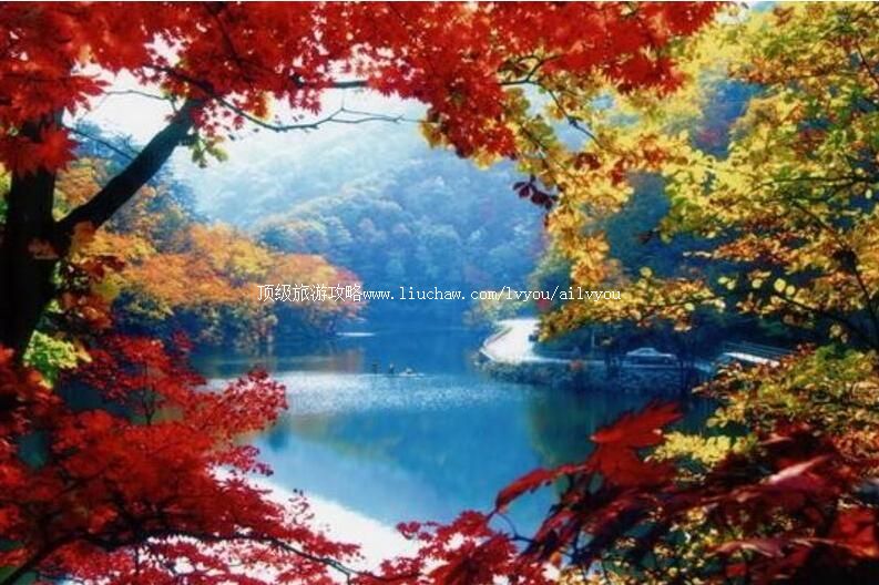 4A��Ϫ����ɽ����ɭ�ֹ�԰���ι���