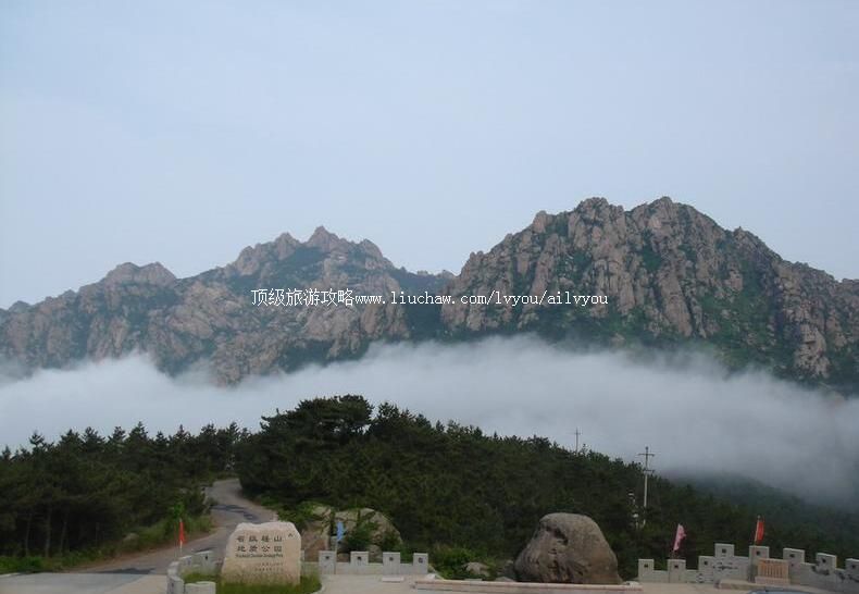 2A��Ϫ��ɲɽ���ι���