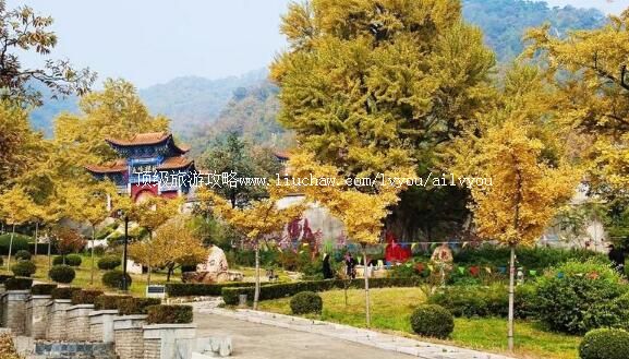 3A�ӱ��������¹����ӷ羰԰���ι���