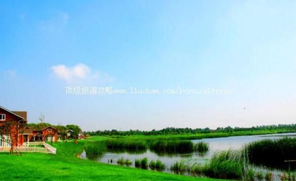 4A河北唐山曹妃甸湿地景区旅游攻略