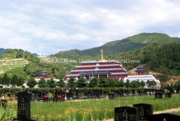 4A�ӱ������԰�������ι���