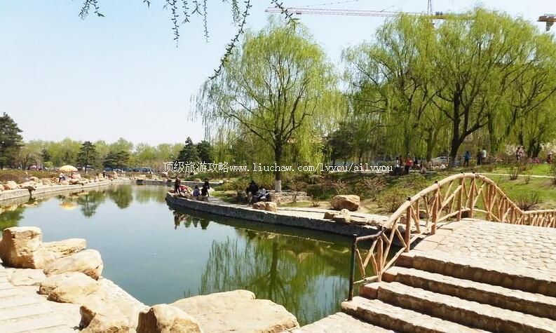 长春牡丹园旅游攻略