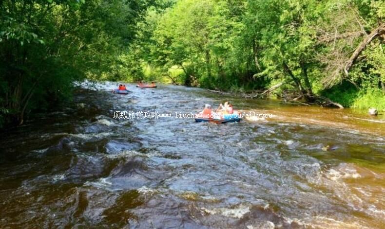 ���ֳ���ɽɭ��Ͽ��Ư�����ι���