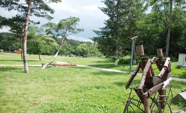 吉林长白山美人松雕塑公园旅游攻略