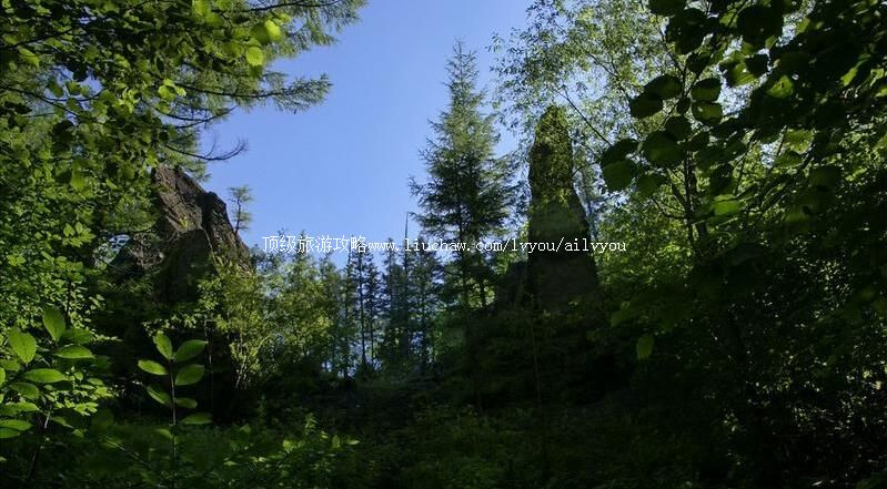 4A长白山峡谷浮石林景区旅游攻略