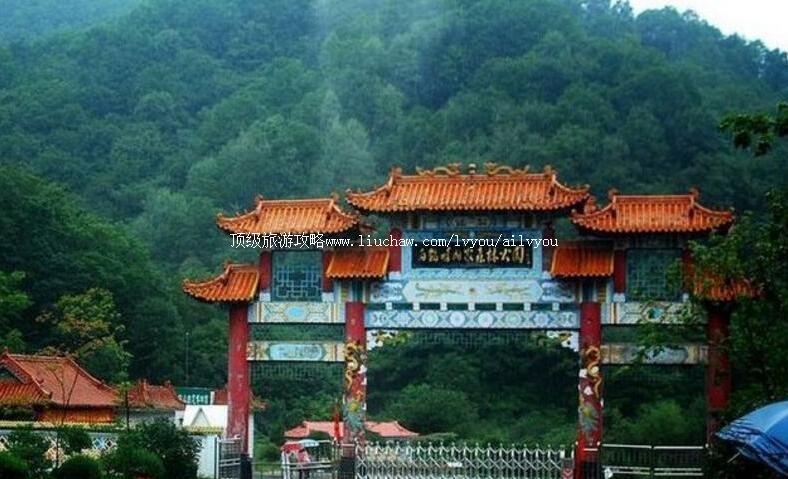 2Aͨ���а׼�������ɭ�ֹ�԰���ι���