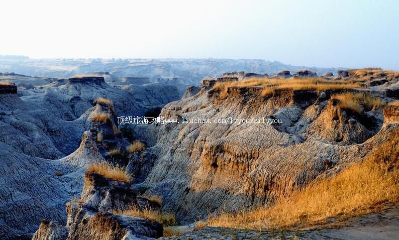 吉林大布苏国家级自然保护区旅游攻略