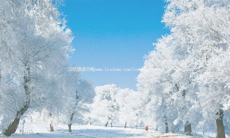 5A������ڡ�����ι���