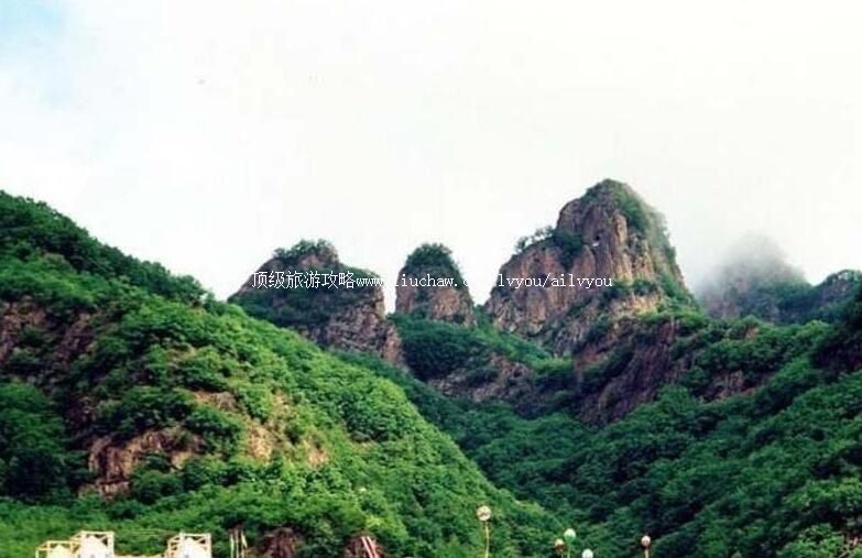 4A�Ժ�����ɽ����ɭ�ֹ�԰���ι���