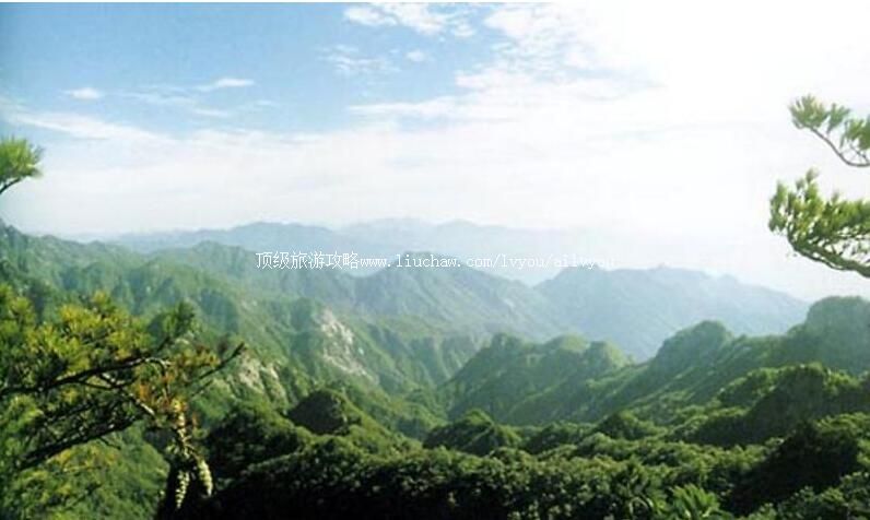 2A������ɭ�ֹ�԰���ι���