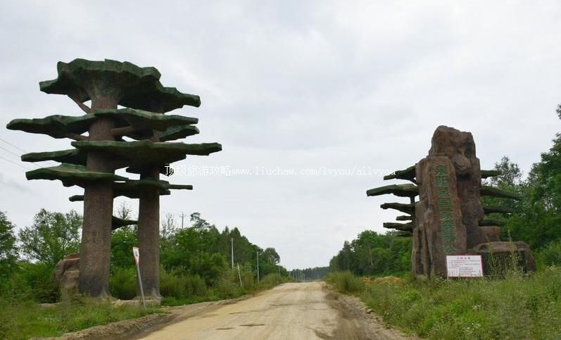吉林泉阳泉国家森林公园旅游攻略