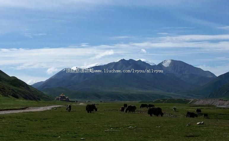 3A青海阿尼玛卿雪山旅游攻略