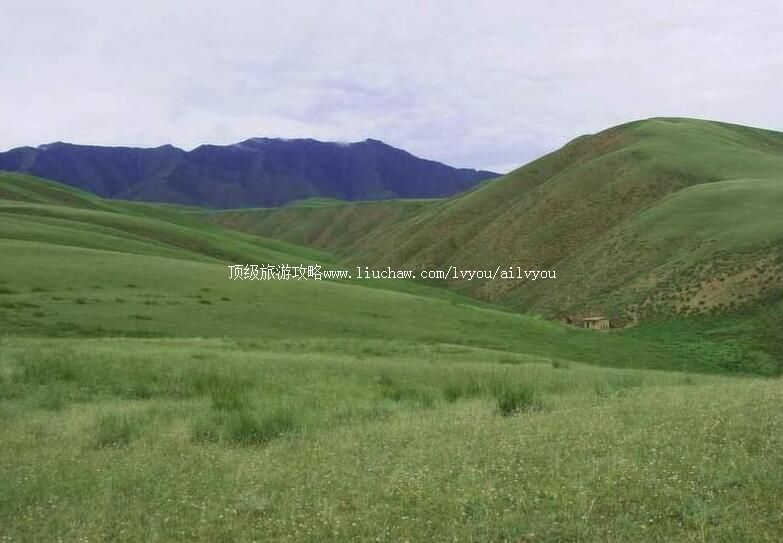 青海祁连山草原旅游攻略