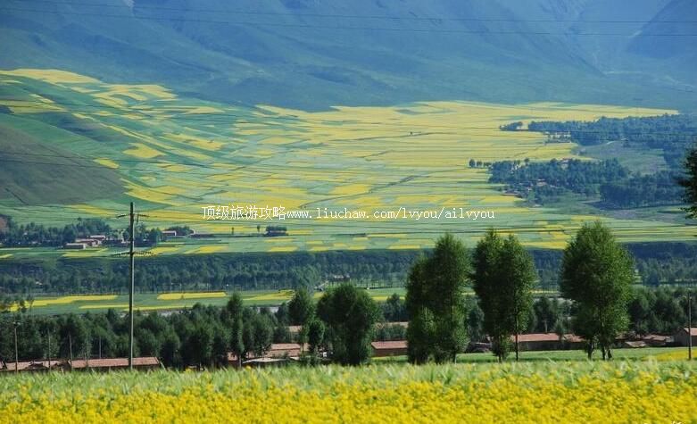 4A�ຣ��Դ�����Ͳ˻����������ι���