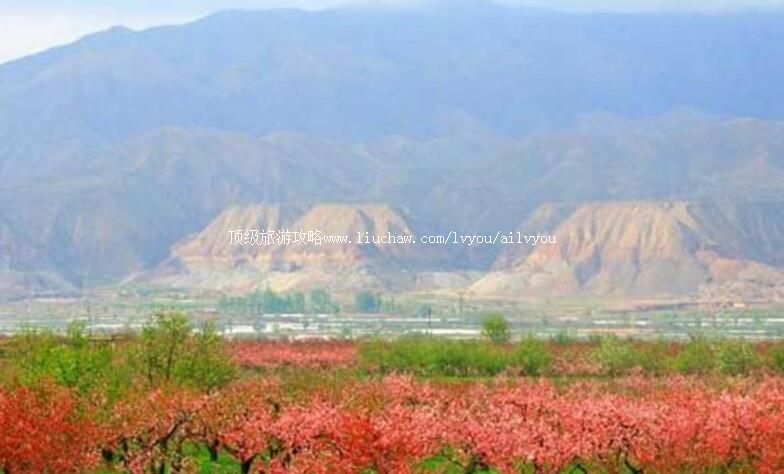 3A�ຣ����һ�԰�����ι���