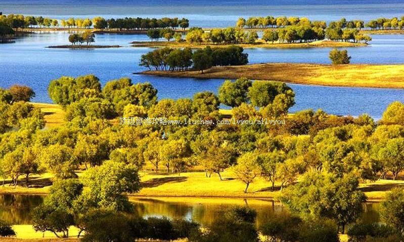 4A通榆向海国家级自然保护区旅游攻略