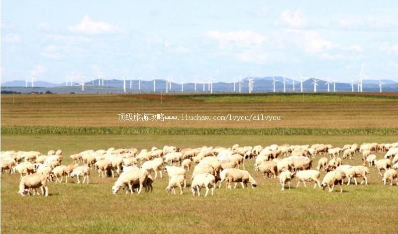 4A白城查干浩特旅游度假区旅游攻略
