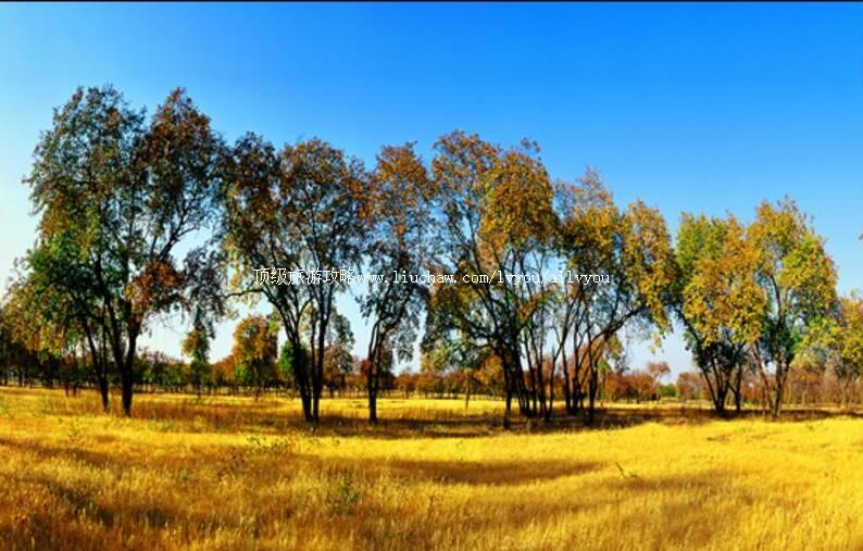 2A兴隆山黄榆景区旅游攻略