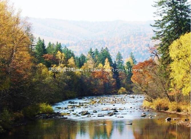 黑龙江凉水自然保护区旅游攻略
