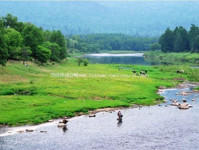 黑龙江丰林国家级自然保护区旅游攻略