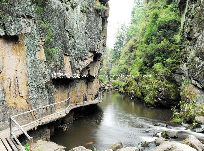 4A����é��������ɭ�ֹ�԰���ι���