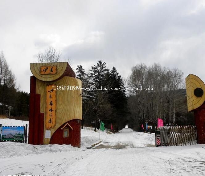 3A�����˰�ɭ�ֹ�԰���ι���