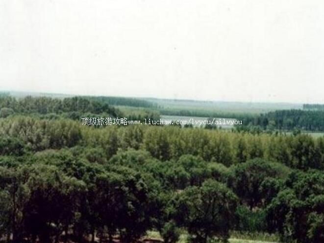 2A齐齐哈尔青松狩猎场旅游攻略