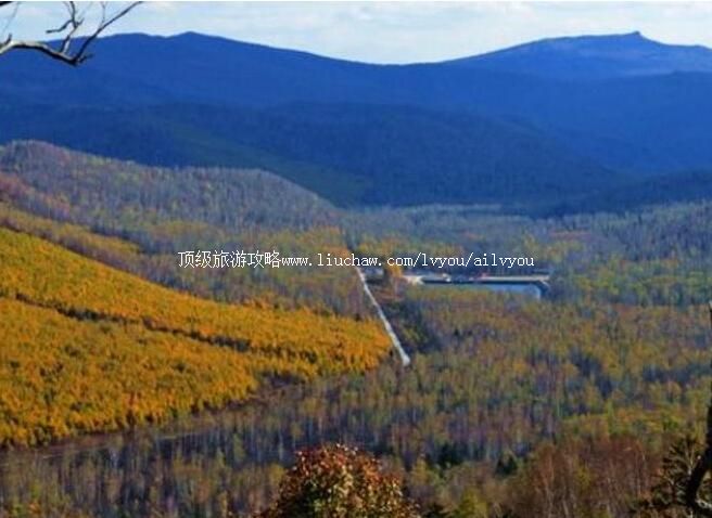 3A��̨������Ȧɭ�ֹ�԰���ι���