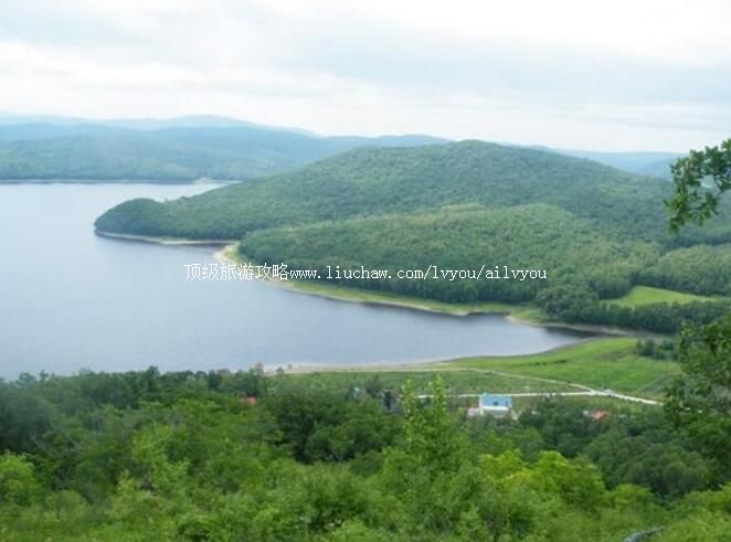 ���ⶫ���춹ɼ���Ҽ���Ȼ���������ι���