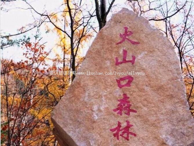 4A������ɽ��ɭ�ֹ�԰���ι���