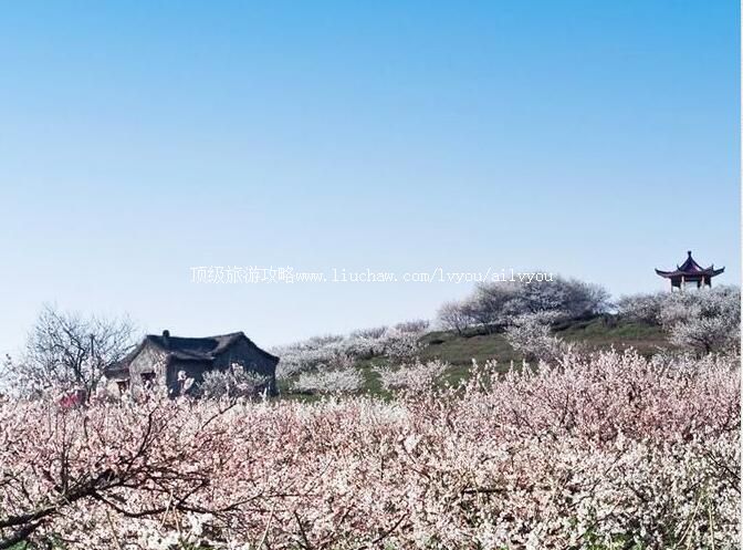 3A江苏南京傅家边科技园旅游攻略