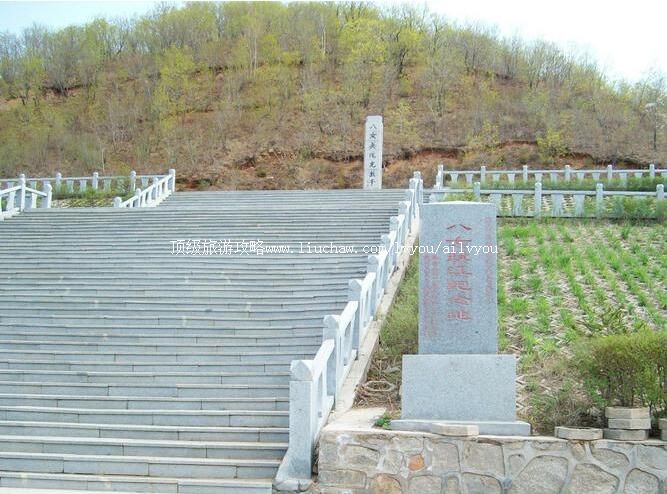 3A�ֿڰ�ŮͶ����ַ��������ι���