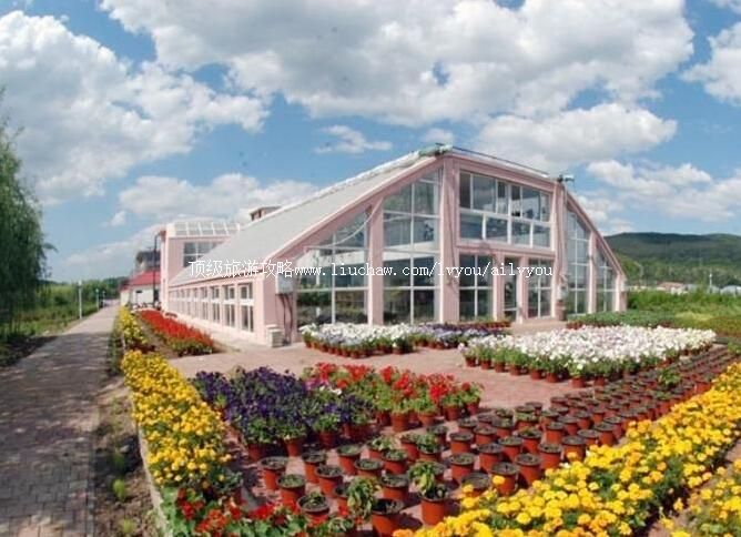 3A黑龙江农业经济职业学院芍菊古苑景区旅游攻略