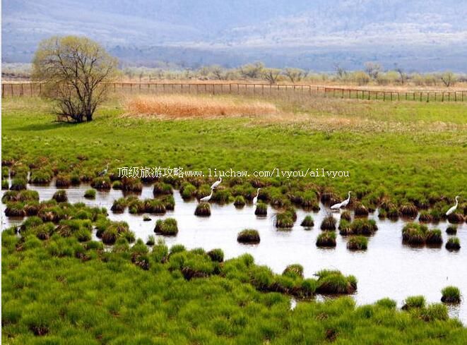 �������������Ҽ���Ȼ���������ι���