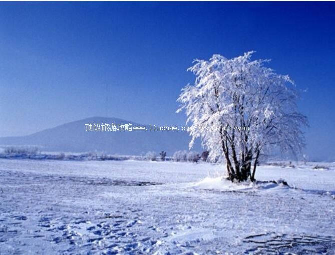 4A�ں�ɽ�ں��羰�����ι���