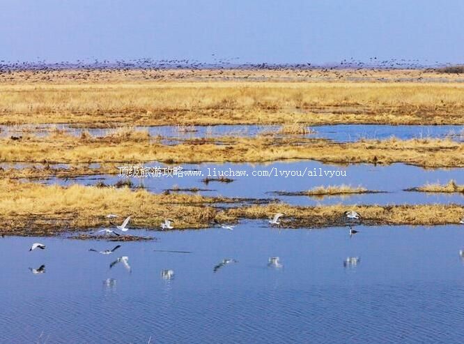 3A�ܱ�����ʪ�����ι���