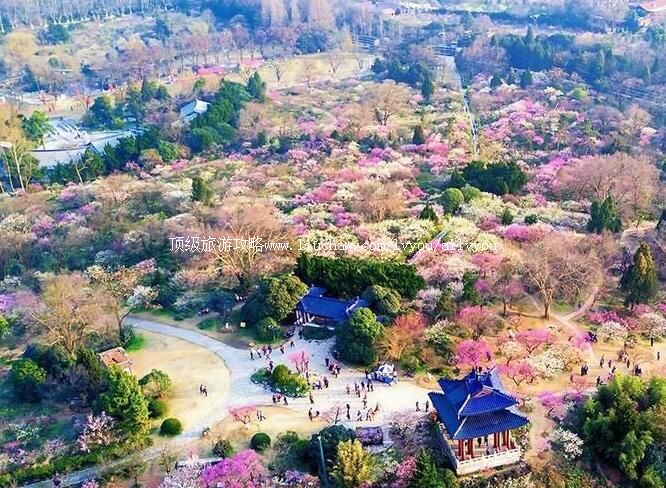 5A�����Ͼ�÷��ɽ���ι���