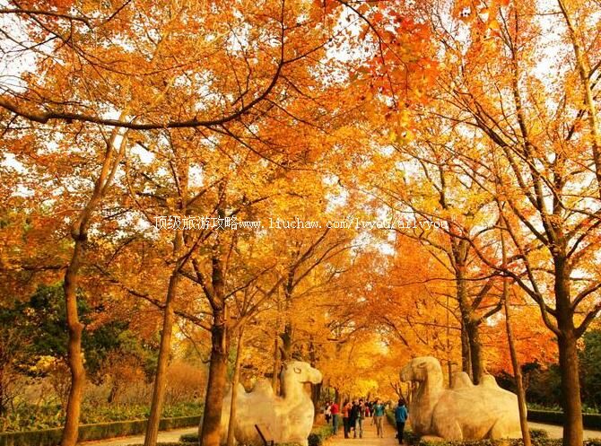 5A�����Ͼ���Т�����ι���