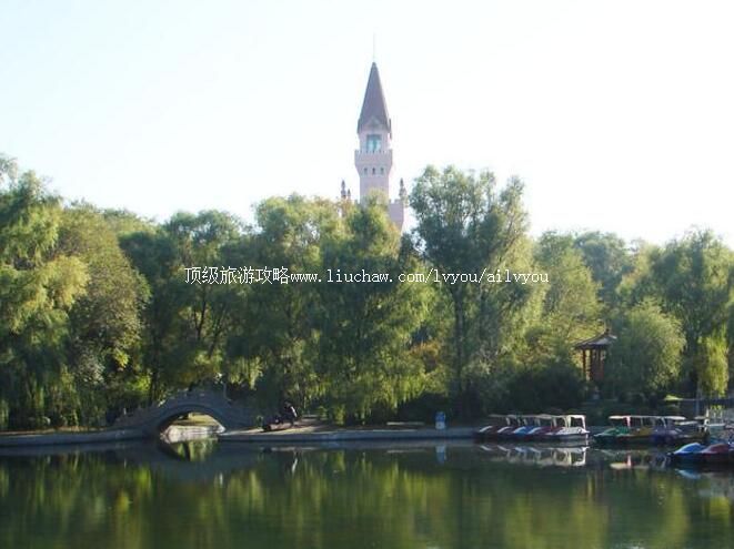 ������ʡɭ��ֲ��԰���ι���