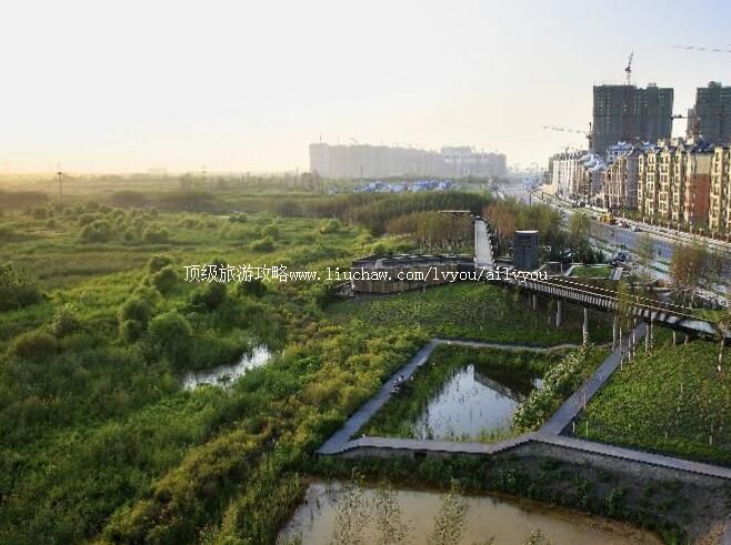 ������Ⱥ�����ҳ���ʪ�ع�԰���ι���