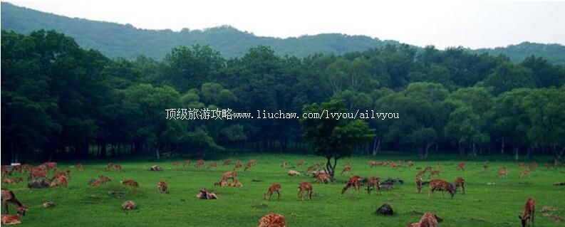 4A森工平山旅游区旅游攻略