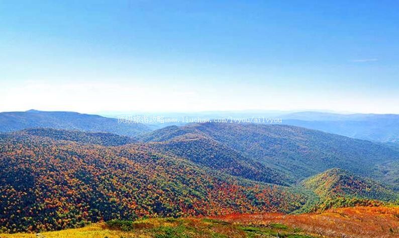 4A黑龙江森工凤凰山森林旅游区旅游攻略