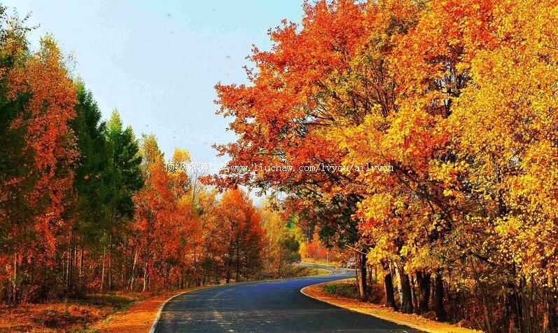 4A����������ɽɭ�ֹ�԰���ι���