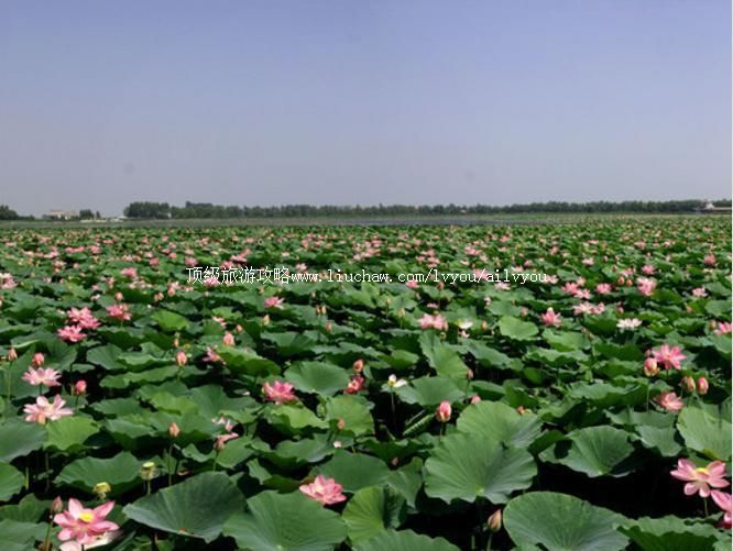 1A������������԰���ι���