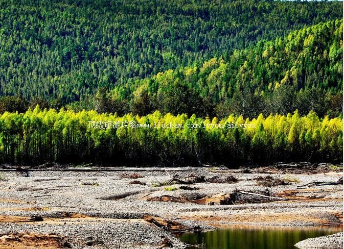 黑龙江呼中国家级自然保护区旅游攻略